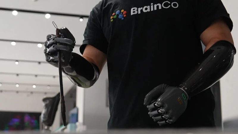 学校数据备份策略的常见误区与优化路径